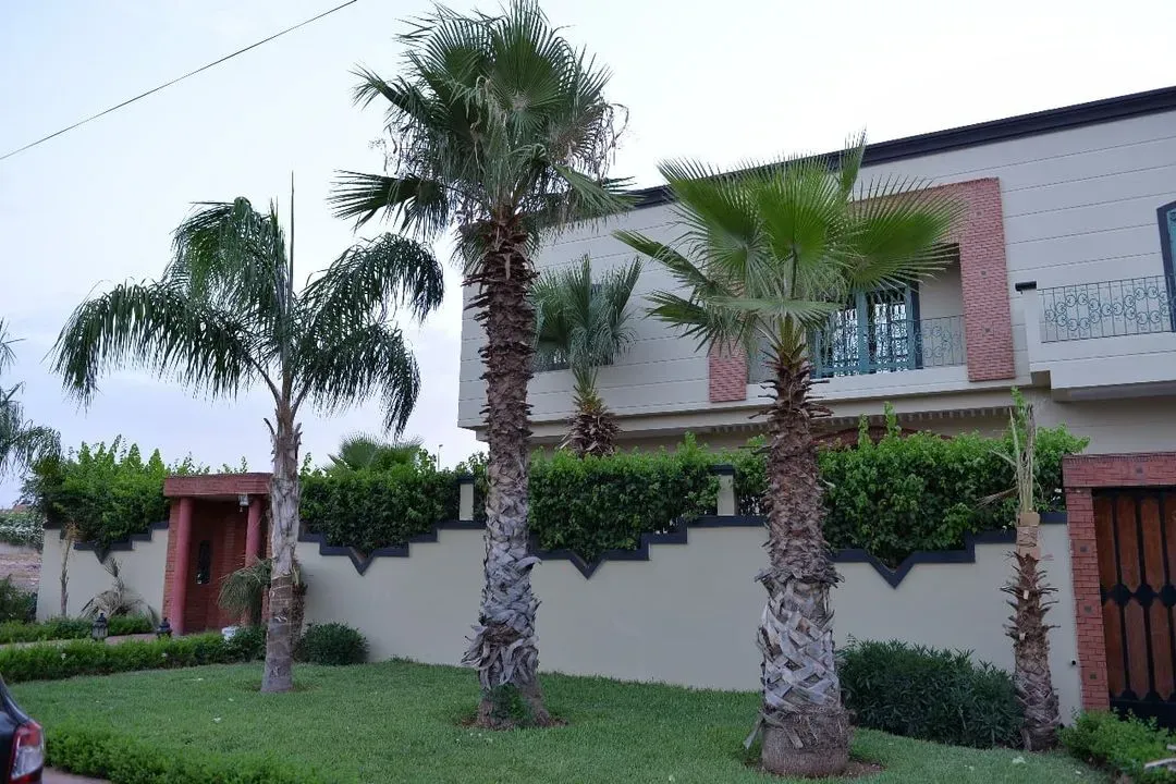 Villa à vendre 6 500 000 dh 1 038 m² avec 6 chambres - Masmoudi Marrakech