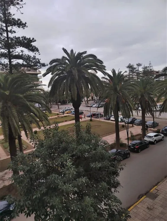 Appartement à louer 4 800 dh 100 m², 2 chambres - Quartier du Parc Mohammadia