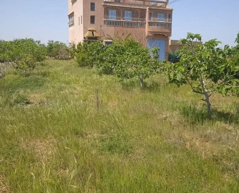 Terrain à vendre 1 600 000 dh 15 000 m² - Ain Johra -Sidi Boukhalkhal Khémisset