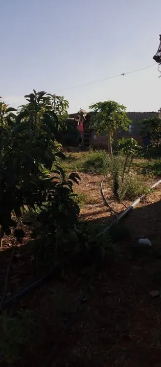 Terrain à vendre 200 000 dh 1 000 m² - Autre Kénitra | Agenz