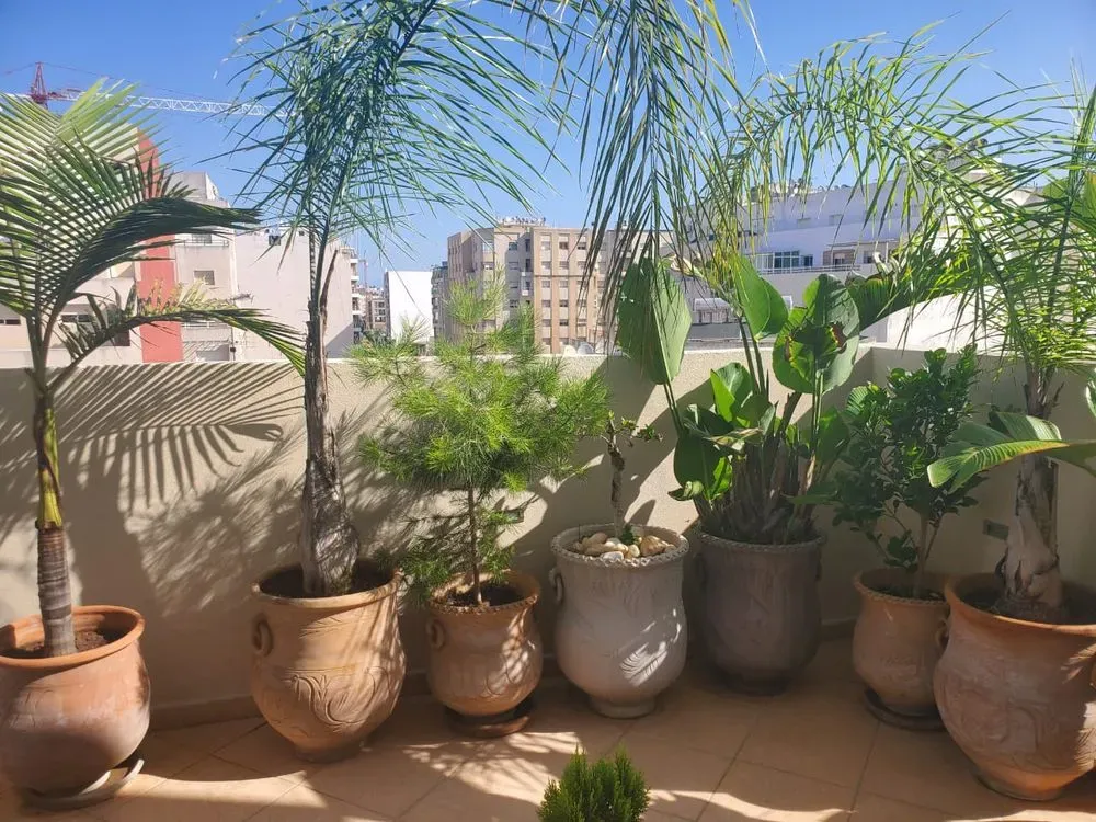 Appartement à louer 5 800 dh 119 m² avec 2 chambres - Mimosa  Kénitra | Agenz