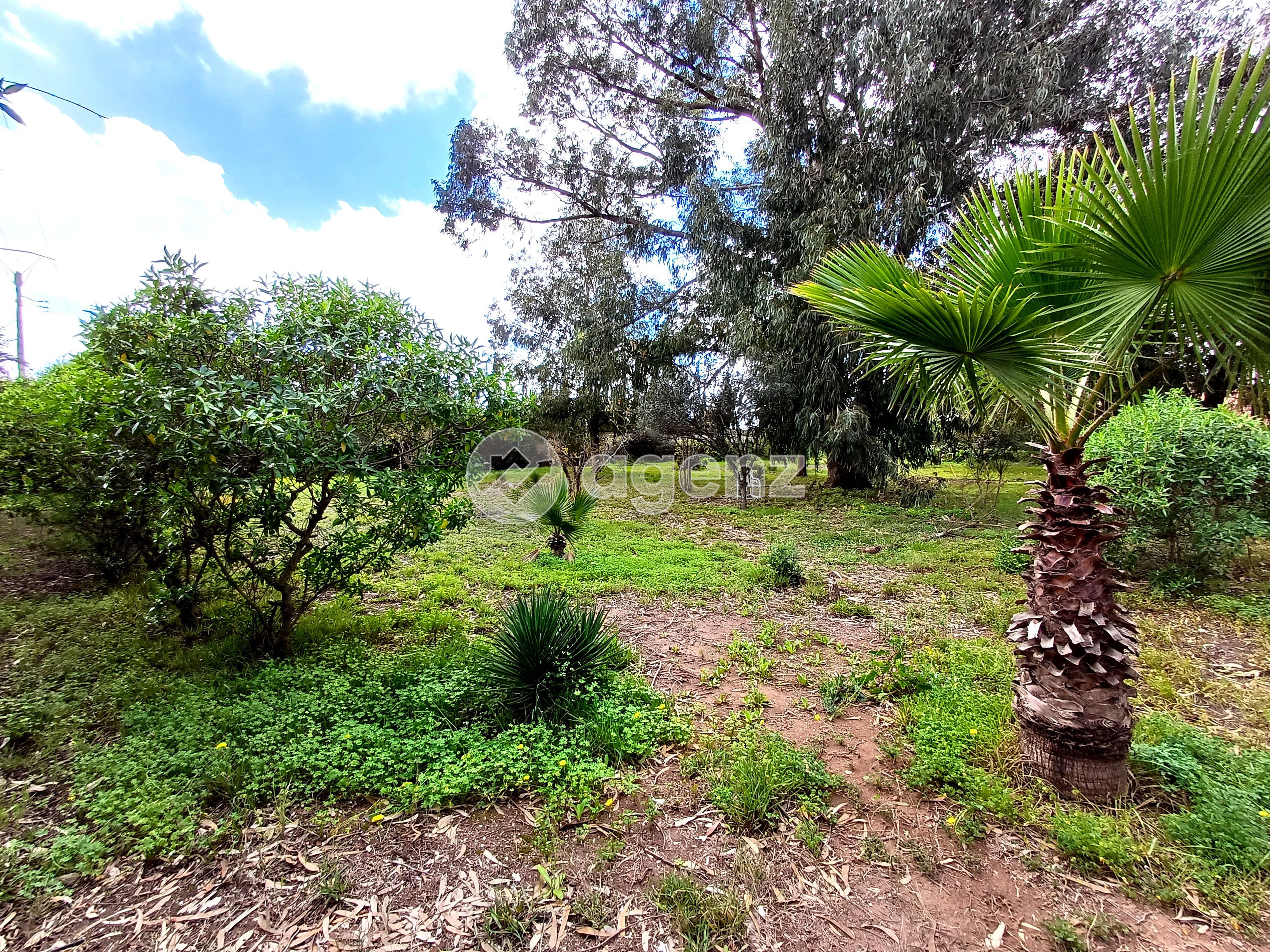 Villa — Bouskoura