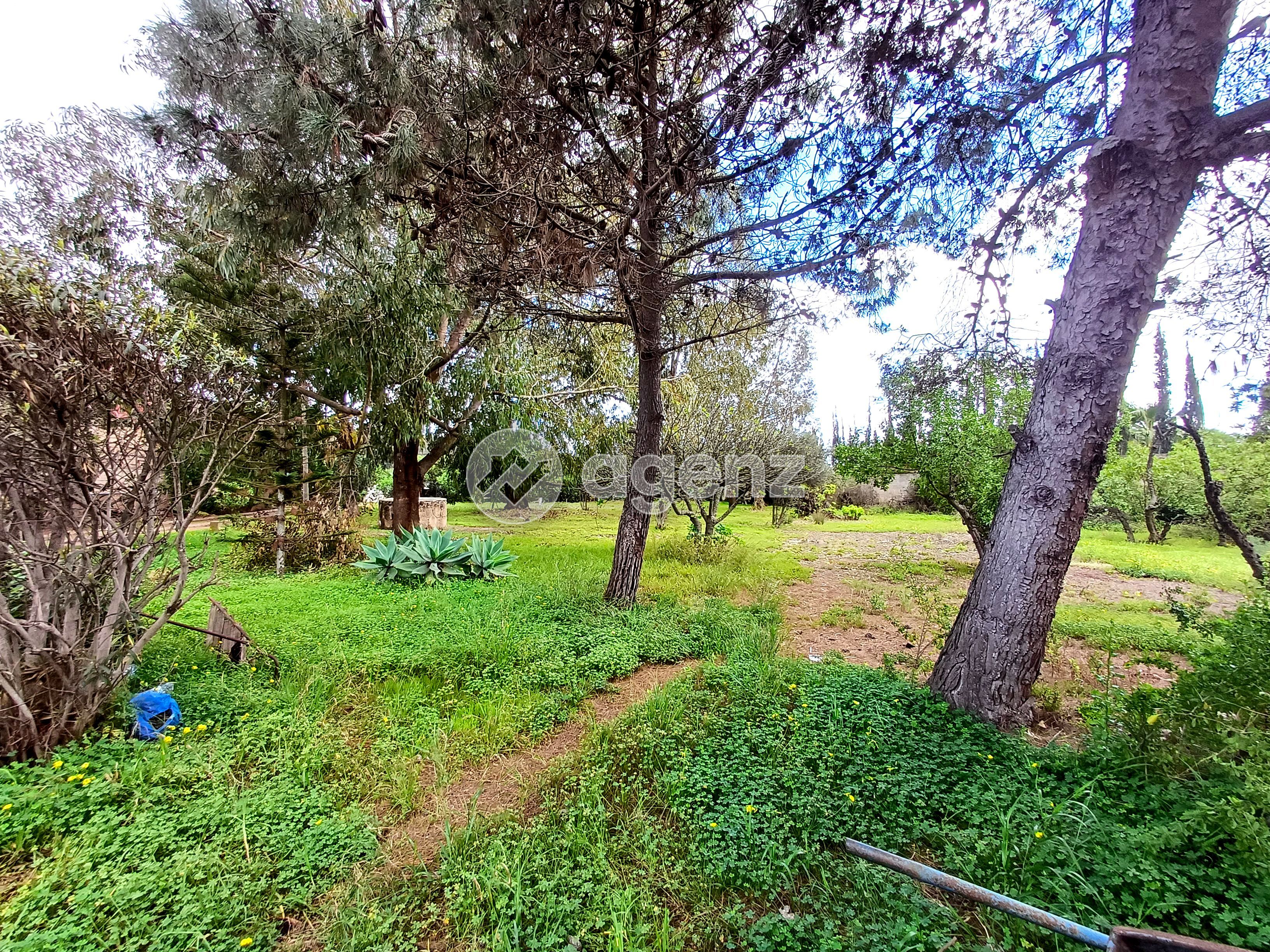 Villa — Bouskoura — 4