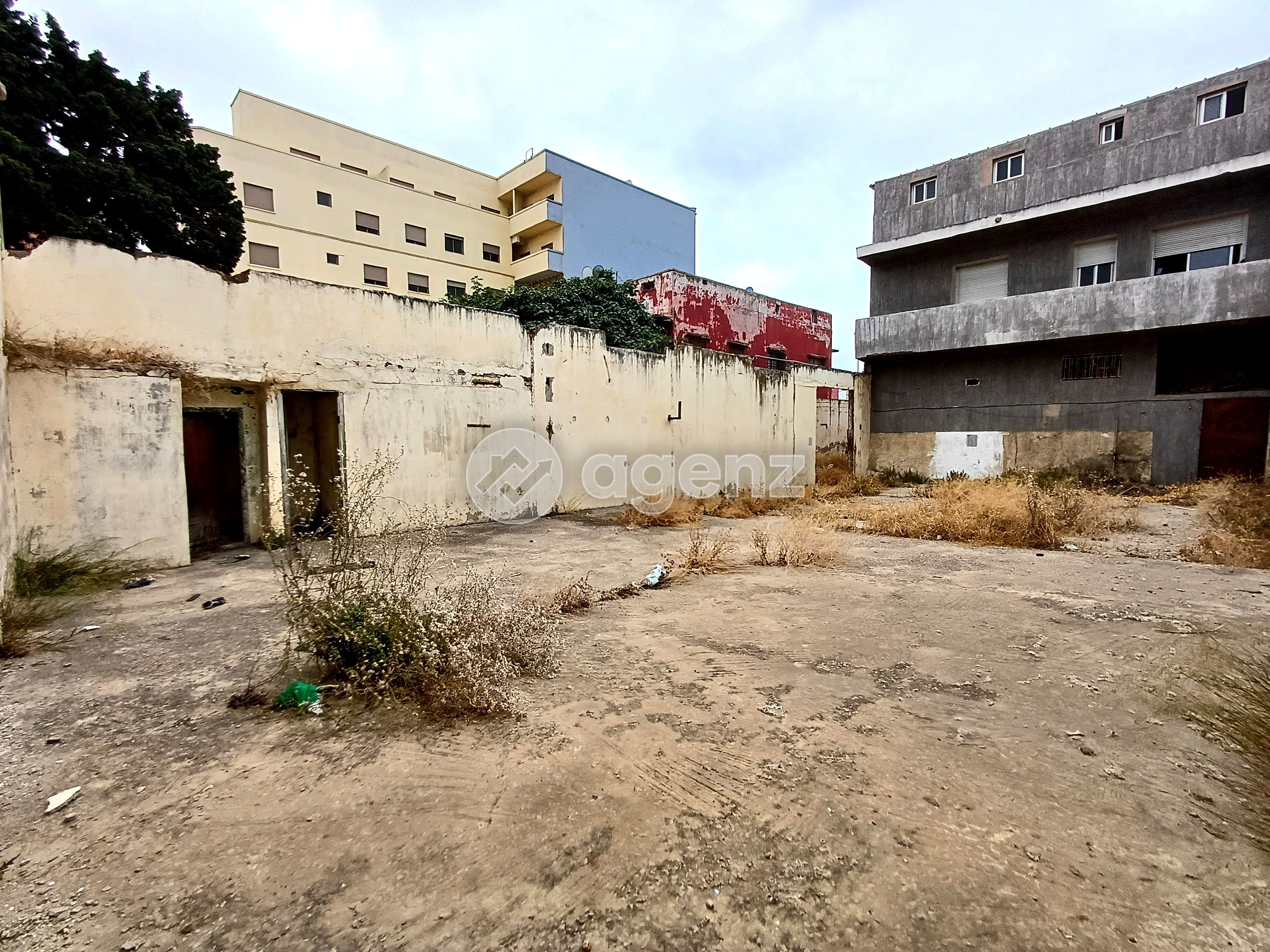 Terrain — Casablanca — 3
