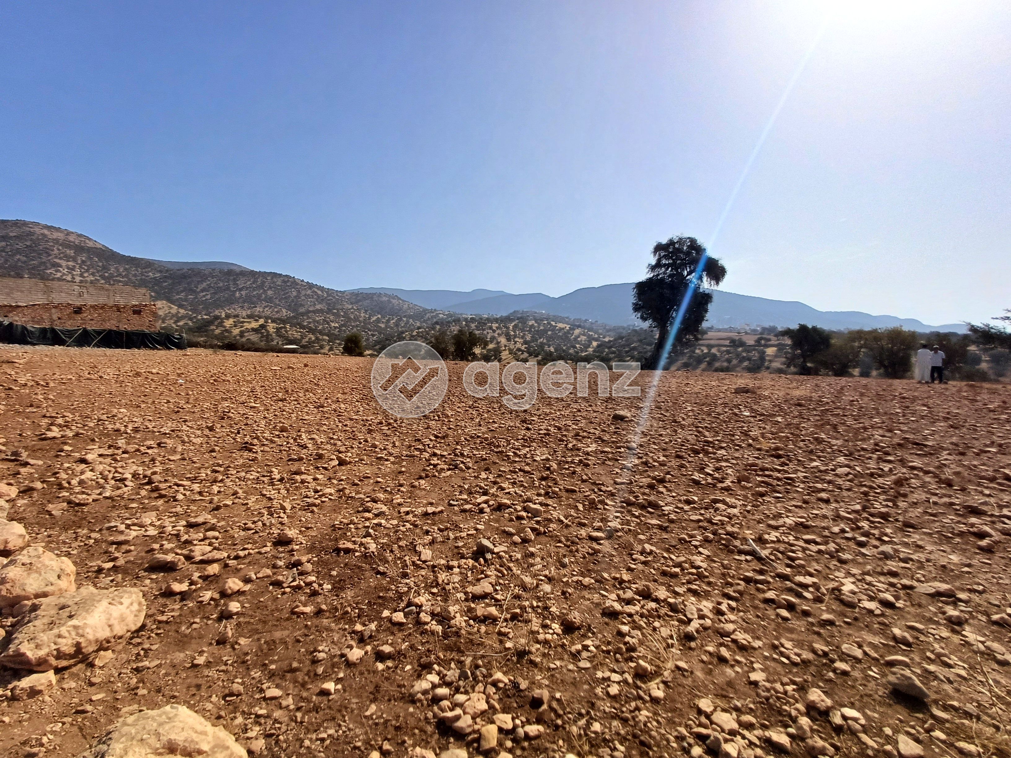 Terrain — Agadir-Ida -Ou-Tanane — 3