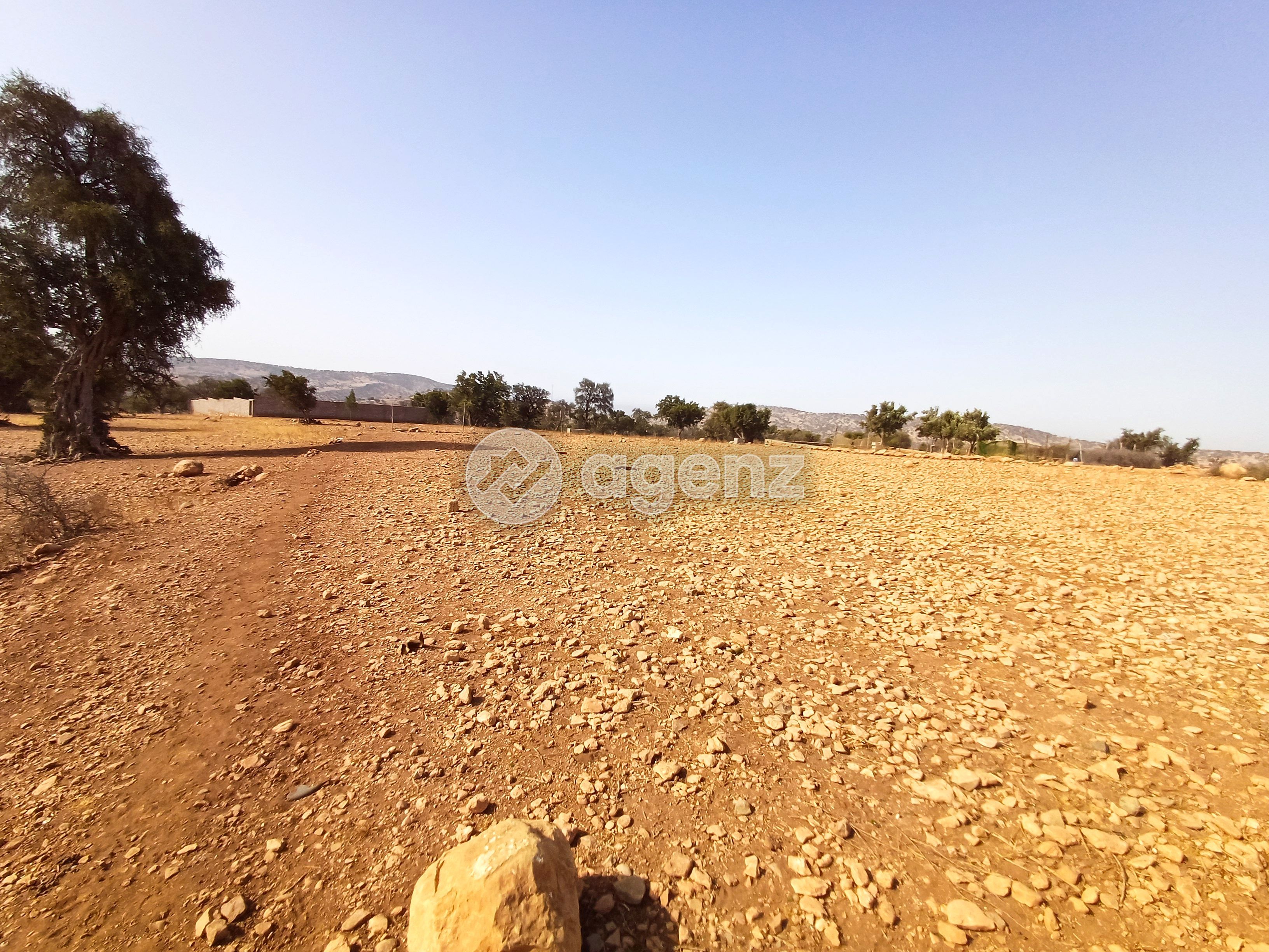 Terrain — Agadir-Ida -Ou-Tanane — 2