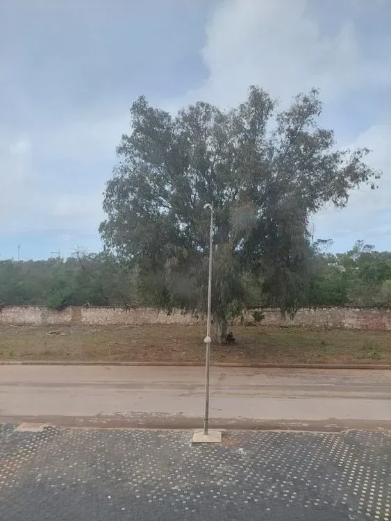 Appartement à louer 3 100 dh 85 m² avec 2 chambres - Foret Urbaine Saknia Kénitra | Agenz