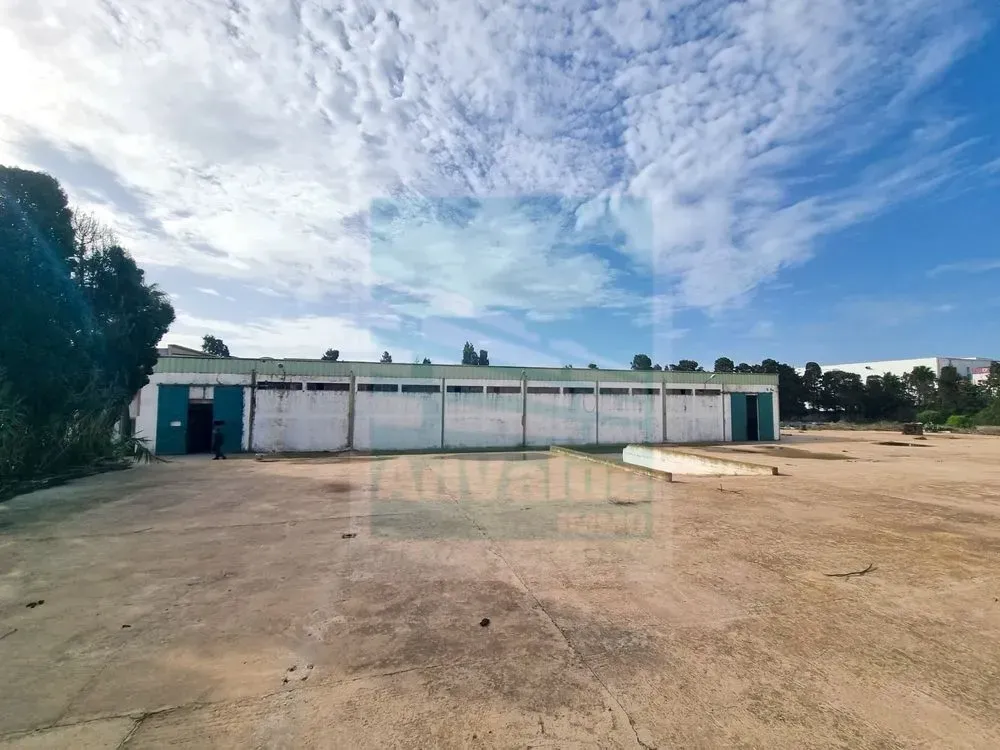 Local Industriel à vendre 14 000 000 dh 1 606 m² avec null chambre - Haouzia El Jadida | Agenz