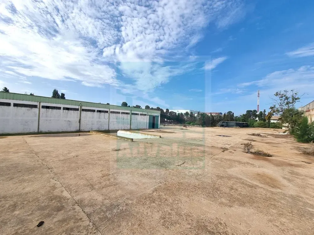 Local Industriel à vendre 14 000 000 dh 1 606 m² avec null chambre - Haouzia El Jadida | Agenz