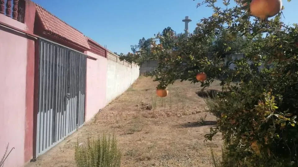 Terrain à vendre 600 000 dh 1 196 m² - Arbaoua Kénitra | Agenz