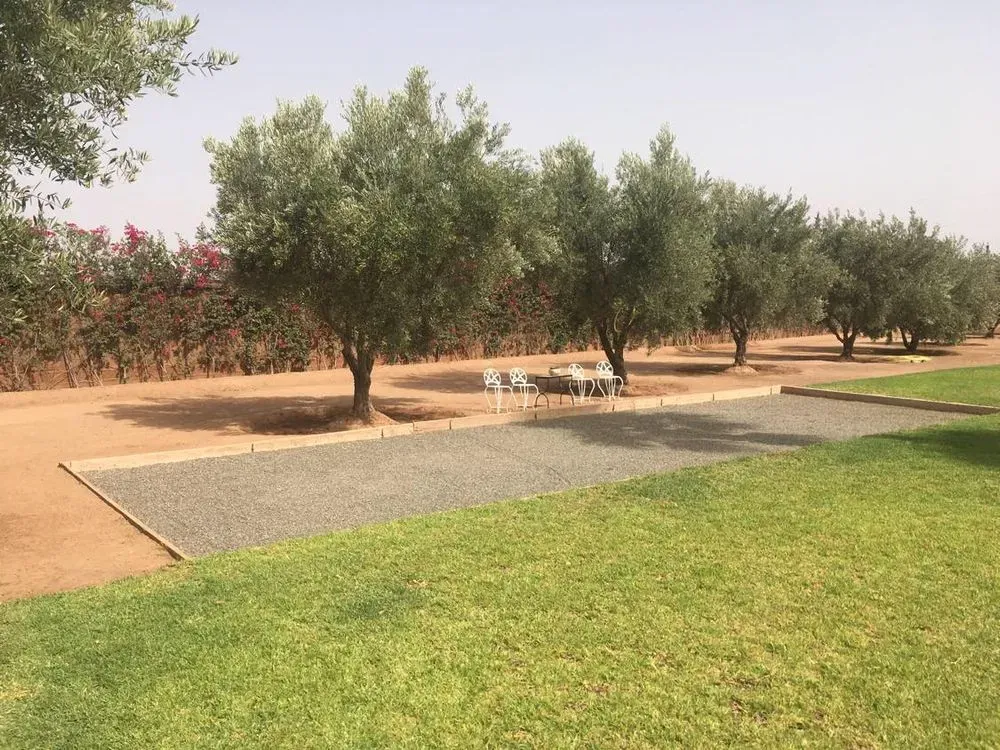 Tente jardin pas cher à vendre au Maroc : (12 Annonces)