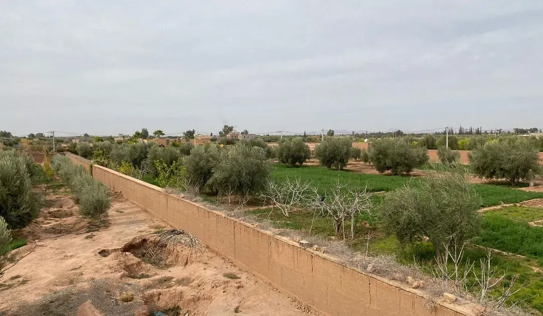 Terrain à vendre 1 800 000 dh 3 500 m² - Autre Marrakech