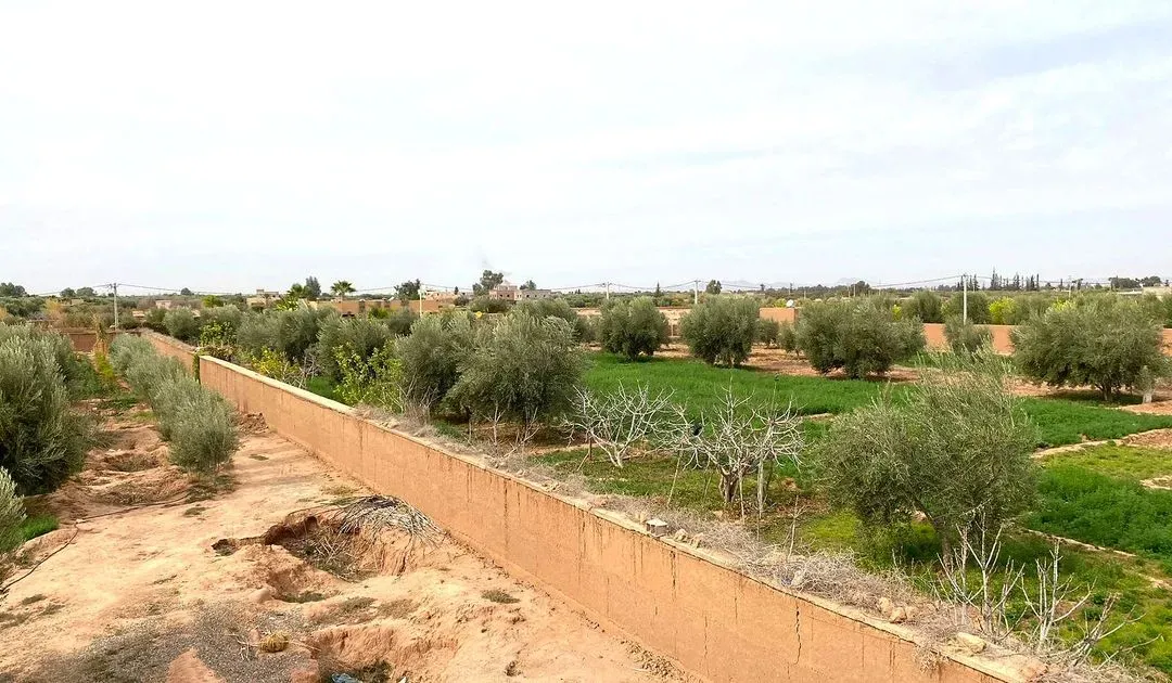 Terrain à vendre 1 800 000 dh 3 000 m² - Autre Marrakech
