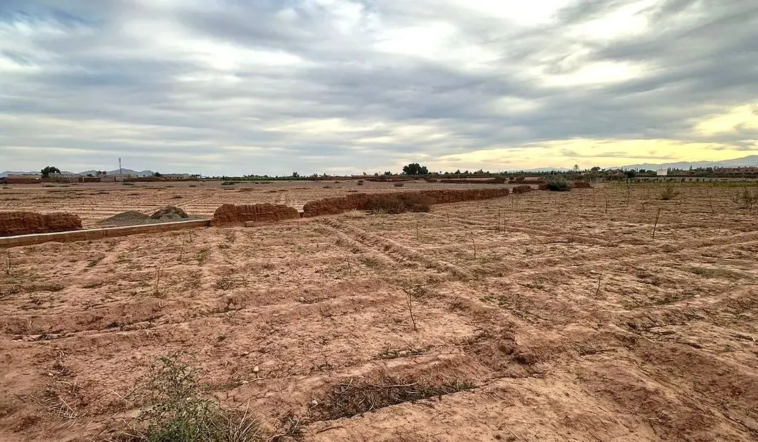 Terrain à vendre 600 000 dh 6 500 m² - Issil Marrakech
