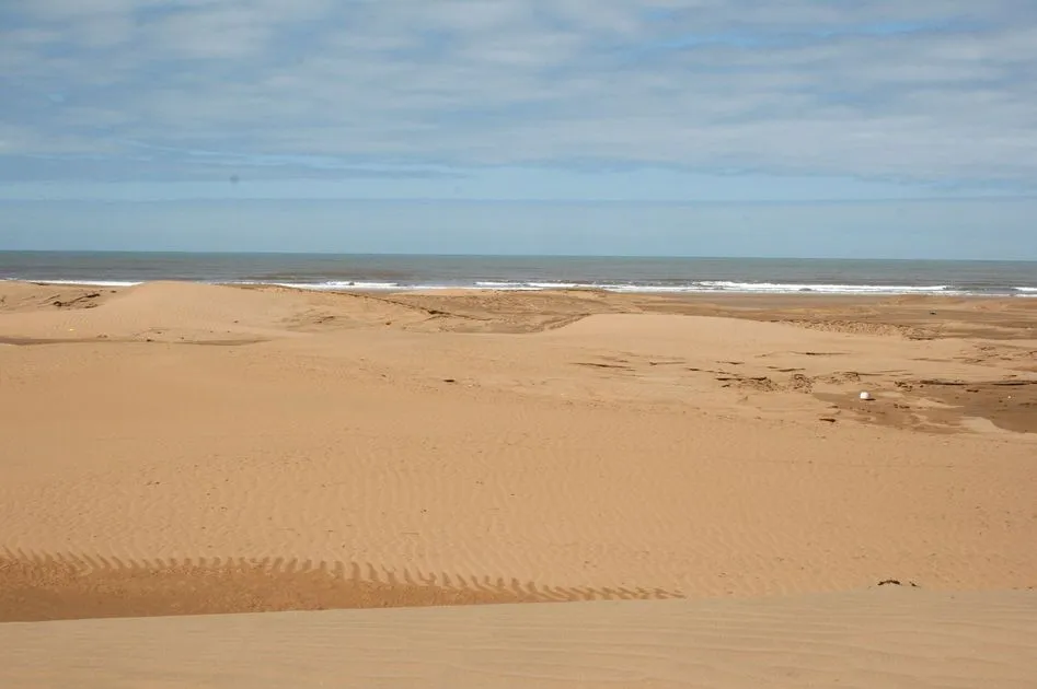 Terrain à vendre 6 600 000 dh 110 000 m² - Autre Essaouira