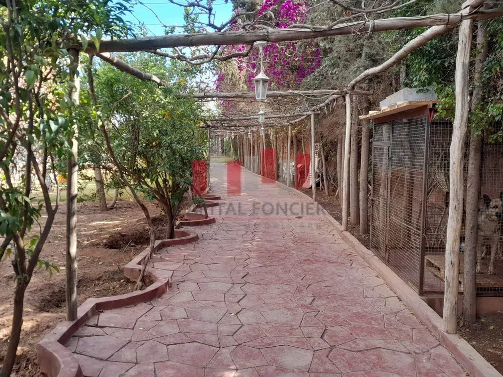 Villa à vendre 30 000 000 dh 1 100 m² avec 7 chambres - Ennakhil (Palmeraie) Marrakech