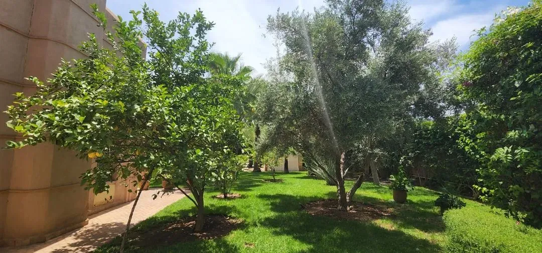 Villa à louer 6 600 dh 600 m², 4 chambres - Rahba Kedima Marrakech