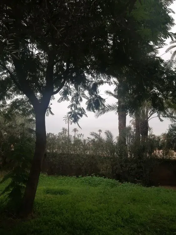 Appartement à louer 6 500 dh 190 m² avec 2 chambres - Ennakhil (Palmeraie) Marrakech | Agenz